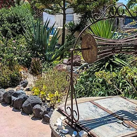 Asterias Mini Coastal