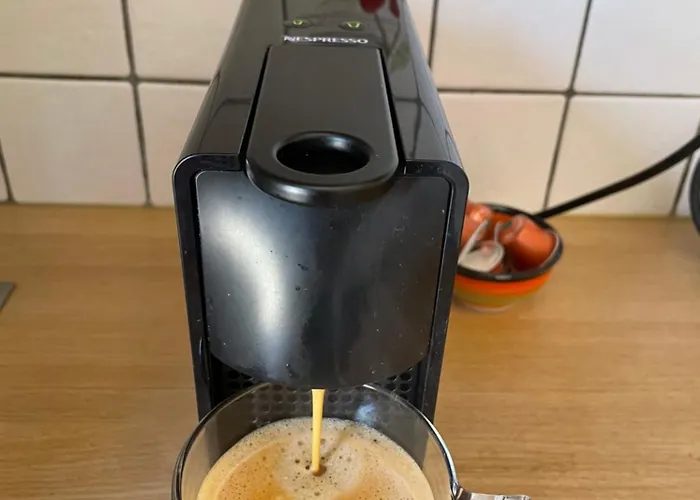 Asterias Mini Coastal